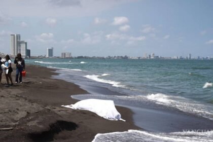 Profepa clausura desarrollo inmobiliario en costa de Alvarado