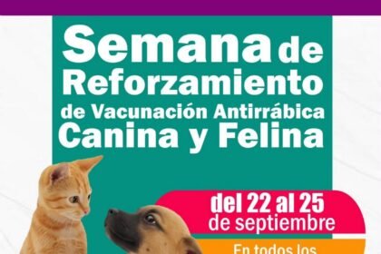 Coatepec Harinas inicia semana de vacunación antirrábica gratuita