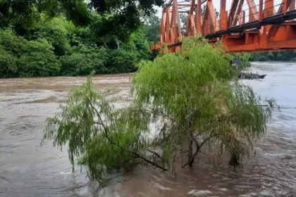 Sin riesgo de desbordamiento en ríos Cotaxtla y Jamapa: PC