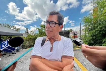 Xalapa refuerza manejo de árboles para prevenir riesgos por lluvias